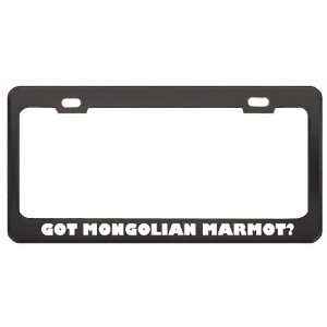 Got Mongolian Marmot? Animals Pets Black Metal License Plate Frame 