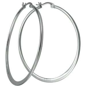  Stainless Steel Hoop Earrings: Jewelry