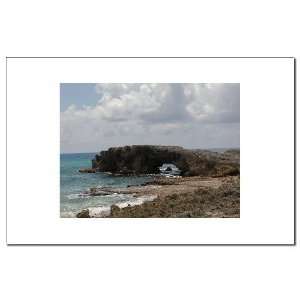  Coral Paradise Nature Mini Poster Print by CafePress 