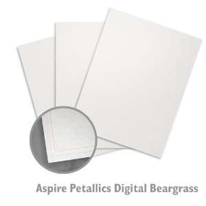  ASPIRE Petallics Digital Beargrass Digital Paper   125 