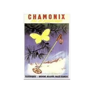  Postcard Chamonix Butterfly and Ski Pole Sports 