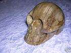 Huge 5 3 Pietersite Carved Crystal Skull Gemstone  