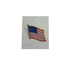  United States of America Flag Pin