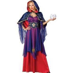  Mystical Sorceress Elite Adult Costume Health & Personal 