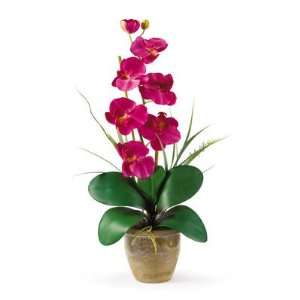  Nearly Natural Single Stem Phalaenopsis Silk Orchid 