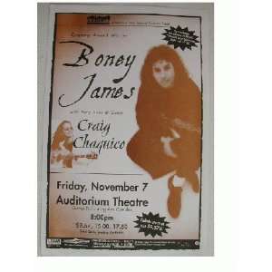  Boney James Handbill and Poster Flat Sweet Thing 