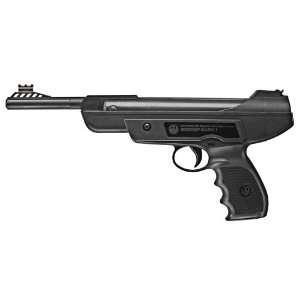 Ruger Mark I Air Pistol .177 Cal:  Sports & Outdoors