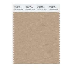  PANTONE SMART 14 1012X Color Swatch Card, Champagne Beige 