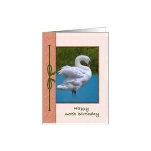  60th Birthday, Mute Swan Bird Card Toys & Games