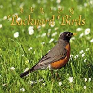  Spring Backyard Birds CD   sounds of spring with natures 