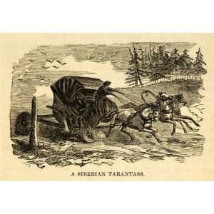  Carriage Russia Arctic   Original Steel Engraving: Home & Kitchen