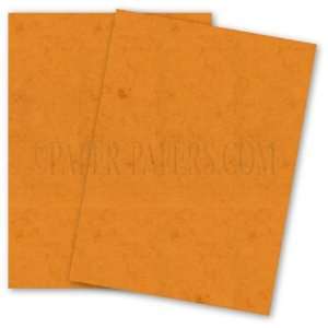  French Paper   Durotone BUTCHER   26 x 40 CARDSTOCK Paper 