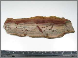 zbv  Top Chinese Dendritic Jasper Red Butte Slab  