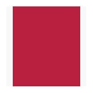   Scarlet. Sheet is 20x30 inches. 480 sheets per Ream: Office Products