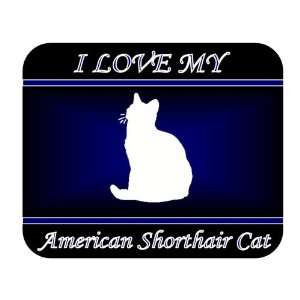   My American Shorthair Cat Mouse Pad   Blue Design: Everything Else