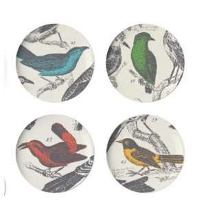  Ornithology Dessert Plate (Set of 4): Kitchen & Dining