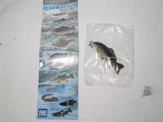 Item name  TAKARA TOMY Yujin fish Keychain Cyprinus carpio
