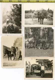   & WAGON photo lot 1915 55 Carriages Farm Work Old Snapshots  