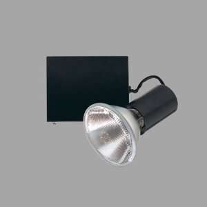   Nora Lighting PAR38 Ceramic Metal Halide Track Light: Home Improvement