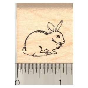  Tiny Dewlap House Rabbit Rubber Stamp Arts, Crafts 