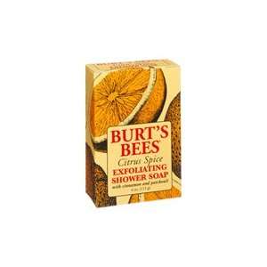  Citrus Spice Exfoliating Shower Soap   4 oz., (Burts Bees 