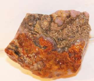 Mexico Old Stock CATHEDRAL AGATE Lapidary rough  