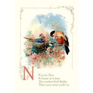  N is for Nest 20x30 Poster Paper