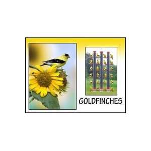  Songbird Essentials Goldfinch Sign 