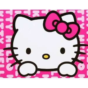  Hello Kitty Wide Eyes Comfy Micro Raschel Throw Blanket 