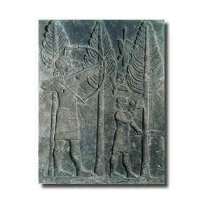   From The Palace Of Sargon Ii Giclee Print 