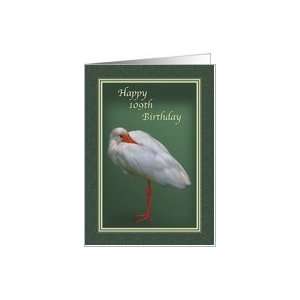  Birthday, 109th, White Ibis Bird Card Toys & Games