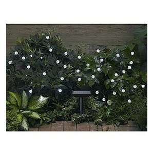  Solar Powered LED Lights   white x 50 Patio, Lawn 