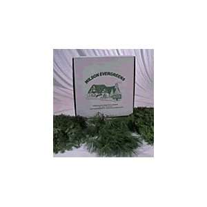   Your Own Christmas Decorations   Box O Boughs (Mix)