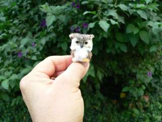   miniature Baby Boy Bird * Ooak Fairy Pal ArtDoll Prop * Gift for HER