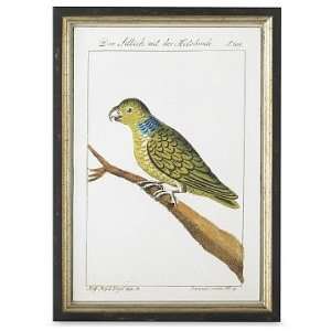 Williams Sonoma Home Exotic Bird Artwork, Small 1:  Kitchen 