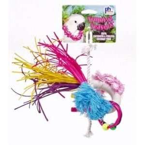  Prevue Pet Products Tropical Teasers Dynamo Bird Toy: Pet Supplies