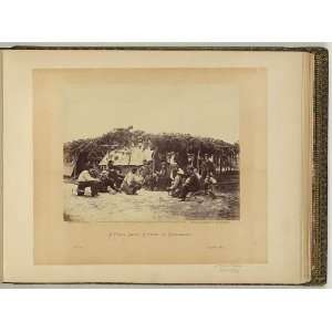   group,African American,cockfight,Petersburg,c1865: Home & Kitchen