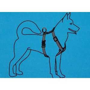  Dog Harness and Leash Set: Kitchen & Dining