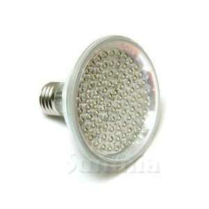  120V AC PAR 30 LED Bulb