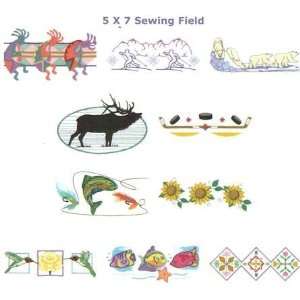  Sewin Big 3 Embroidery Design CD Arts, Crafts & Sewing
