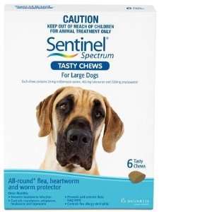  Sentinel Spec. Large Dogs Chews 6pk W: Pet Supplies