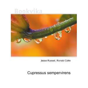  Cupressus sempervirens Ronald Cohn Jesse Russell Books