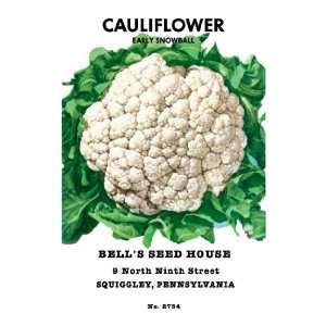  Cauliflower Early Snowball 24X36 Giclee Paper