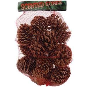 Cinnamon Scented Pine Cones Large Mix 12 14/Pkg Natural 
