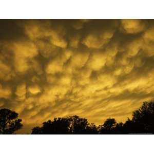  Mammatiform Clouds, Sarasota County, USA Premium 