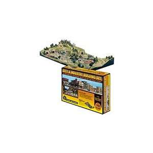   Scenics ST1486 HO Scale City & Industry Building Set Toys & Games