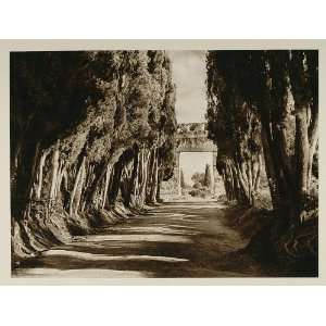  1925 Hadrians Villa Adriana Emperor Tivoli Tibur Lazio 