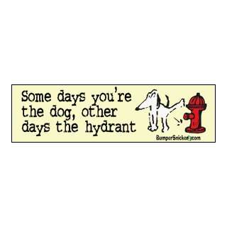 Some days youre the dog, other days the hydrant   Refrigerator 