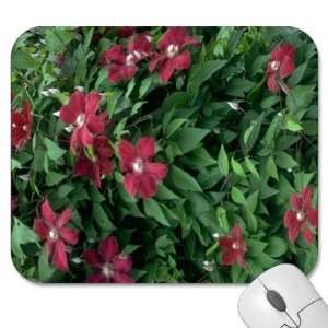 Mousepad   9.25 x 7.75 Designer Mouse Pads   Flowers/Floral (MPFL 