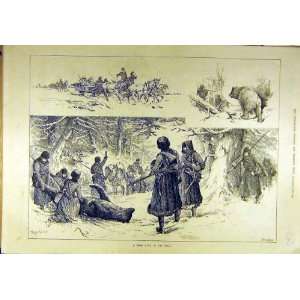 1887 Bear Hunting Ural Russia Animal Sport Print:  Home 